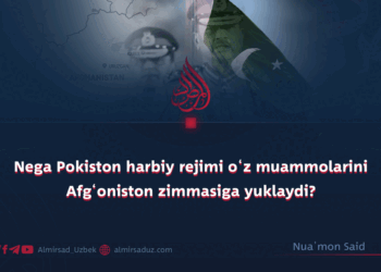 Nega Pokiston harbiy rejimi o‘z muammolarini Afg‘oniston zimmasiga yuklaydi?