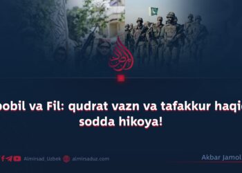 Abobil va Fil: qudrat vazn va tafakkur haqida sodda hikoya!