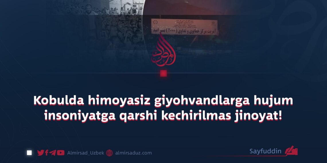 Kobulda himoyasiz giyohvandlarga hujum  insoniyatga qarshi kechirilmas jinoyat!